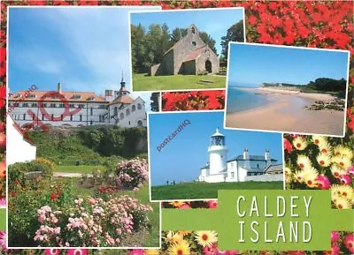 Picture Postcard>>Caldey Island (Multiview) • £2.09